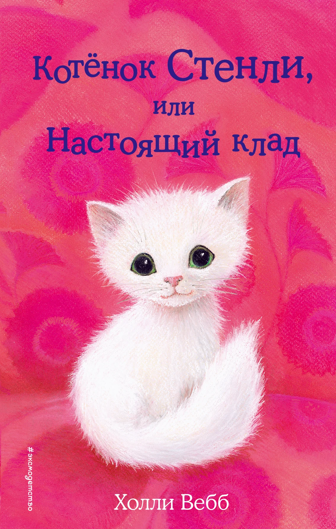 Обложка Котёнок Стенли, или Настоящий клад