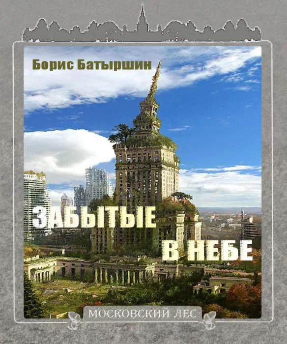 Обложка Забытые в небе