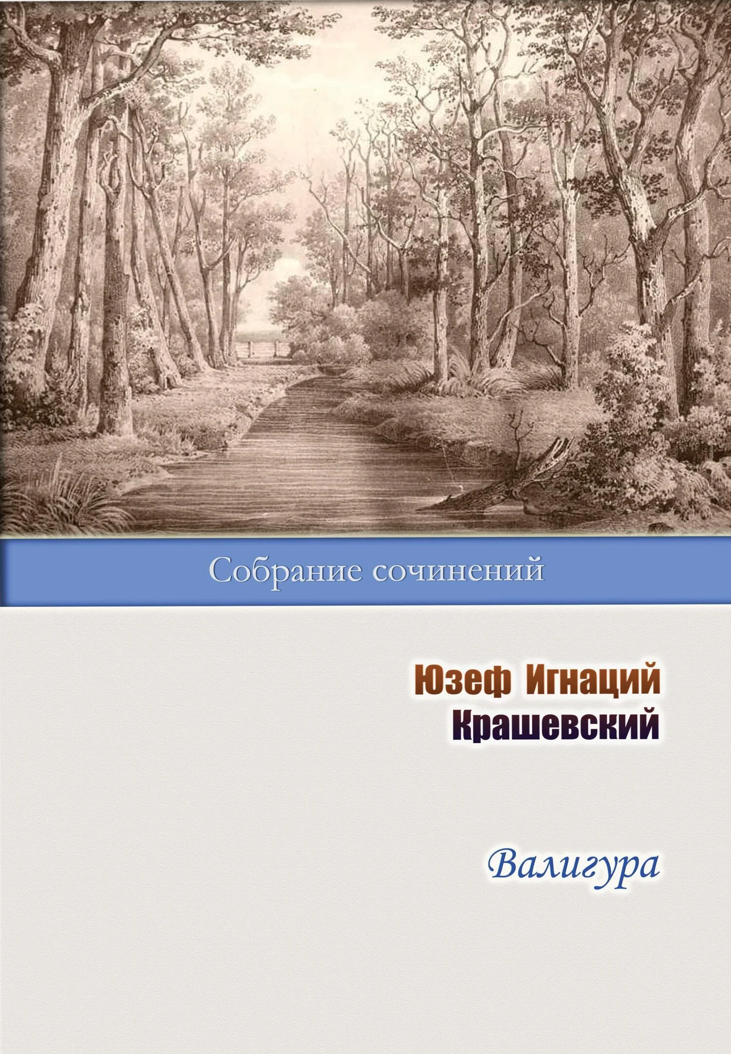 Обложка Валигура
