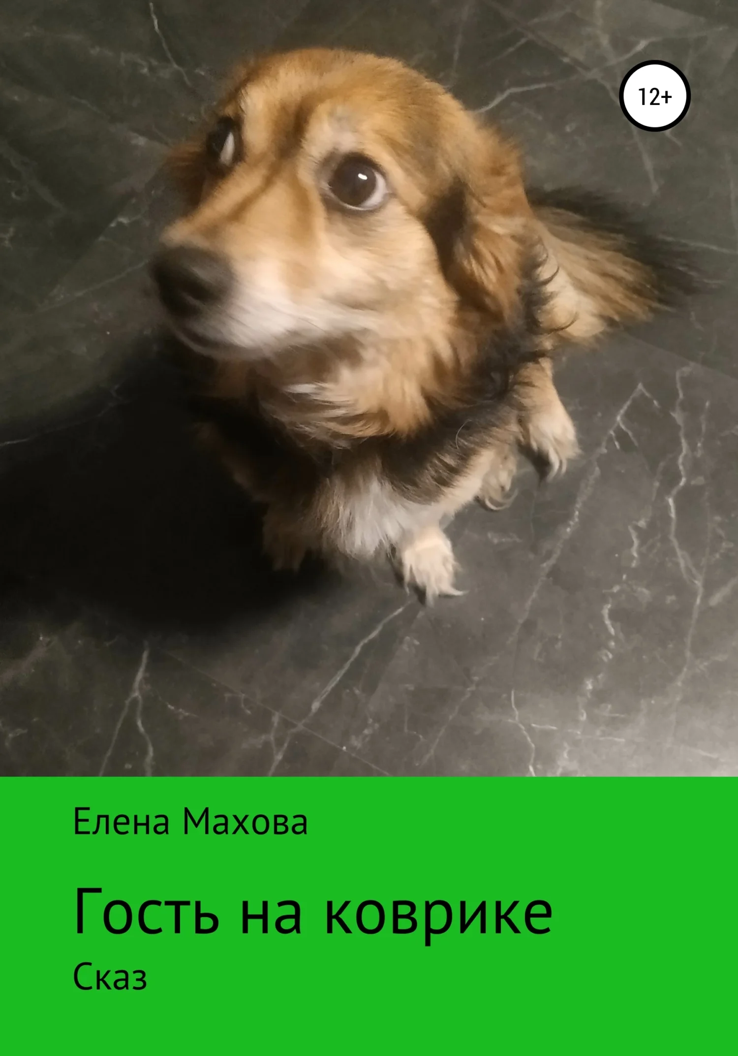 Обложка Гость на коврике. Сказ