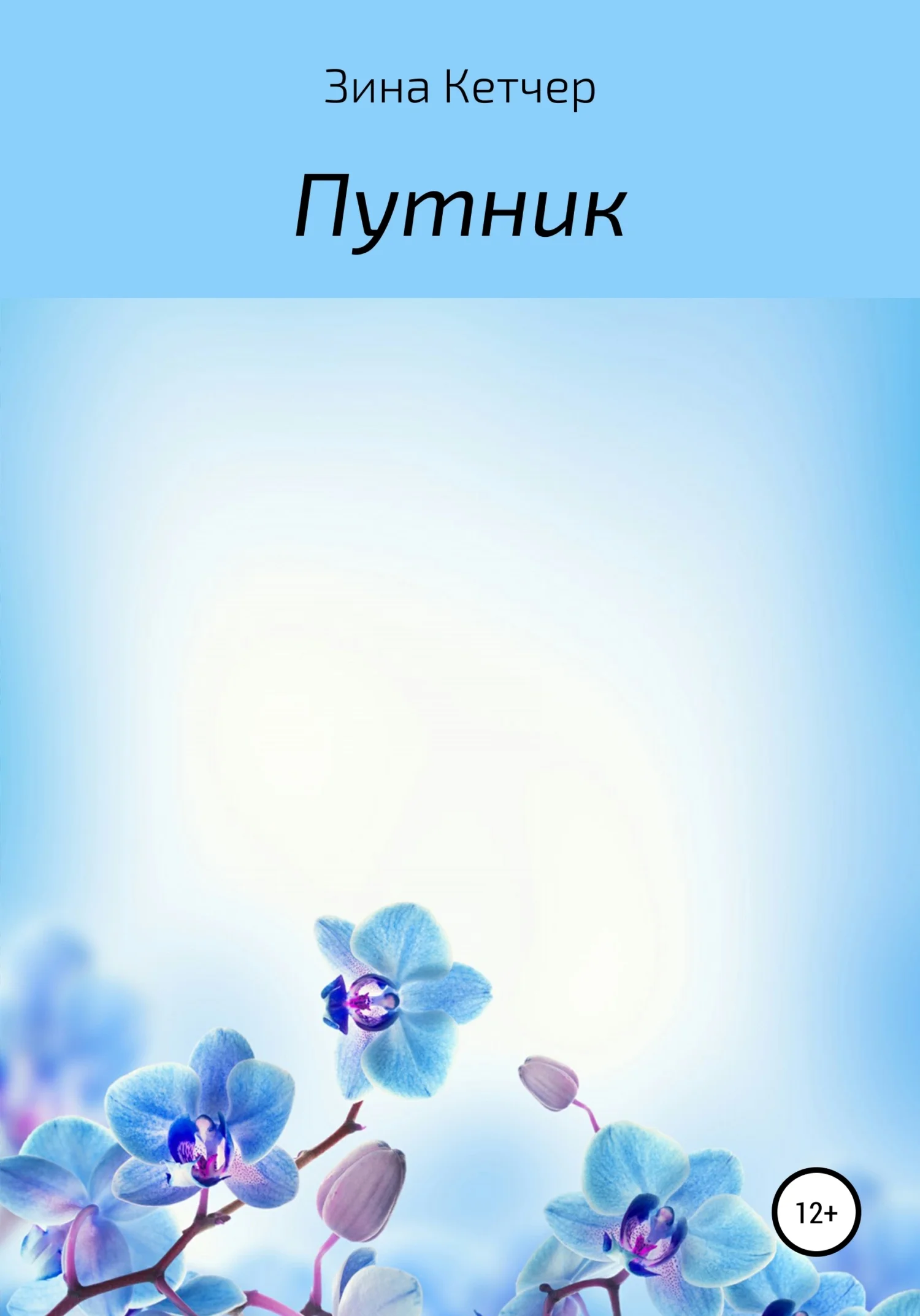 Обложка Путник