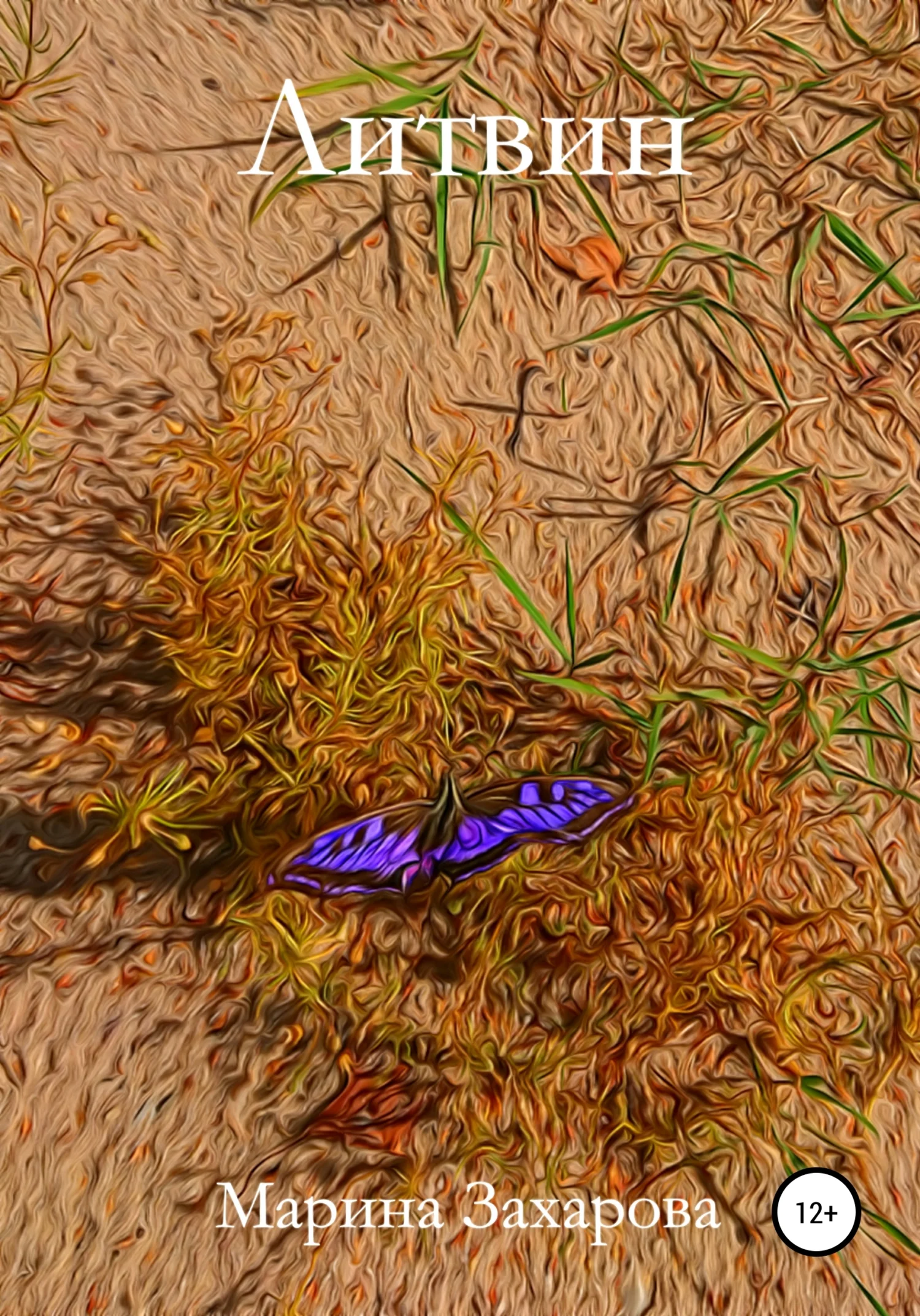 Обложка Литвин