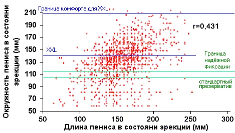 Обложка Фаллос как зеркало иерархии
