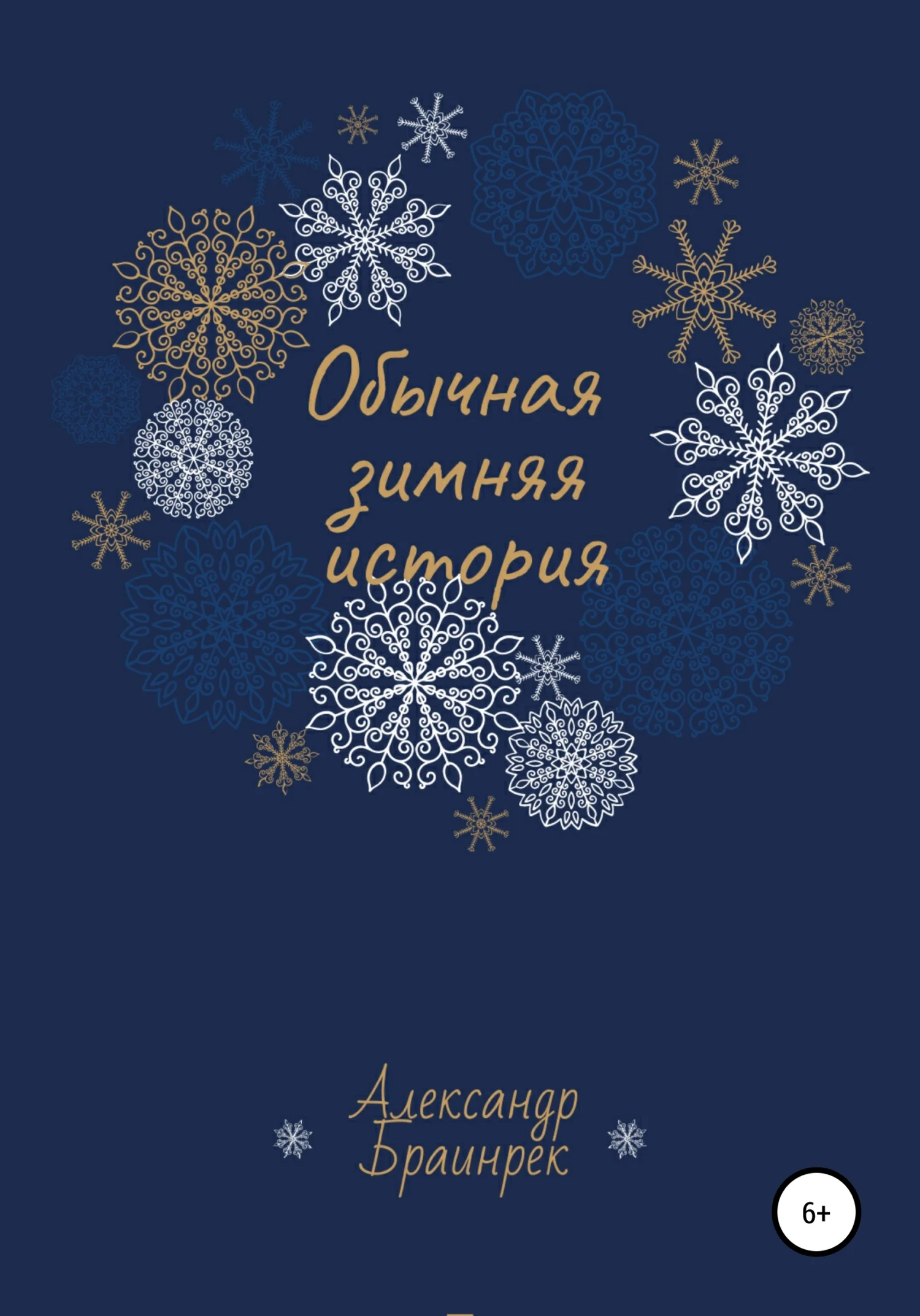 Обложка Обычная зимняя история