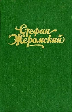 Обложка Пепел
