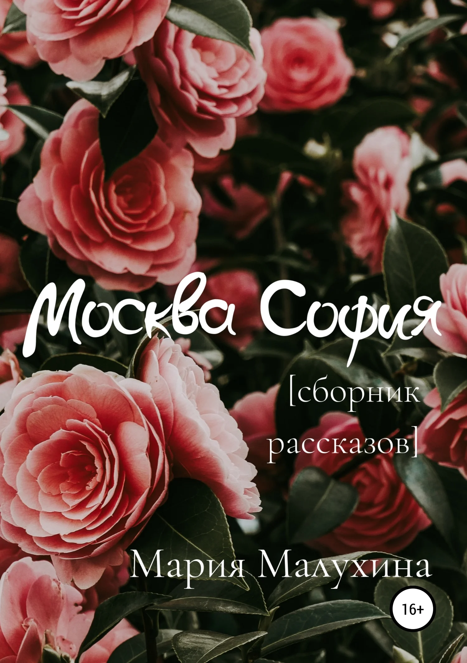 Обложка Москва – София