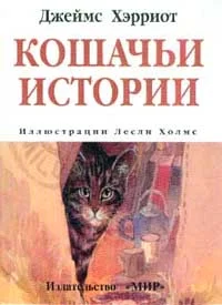 Обложка Кошачьи истории