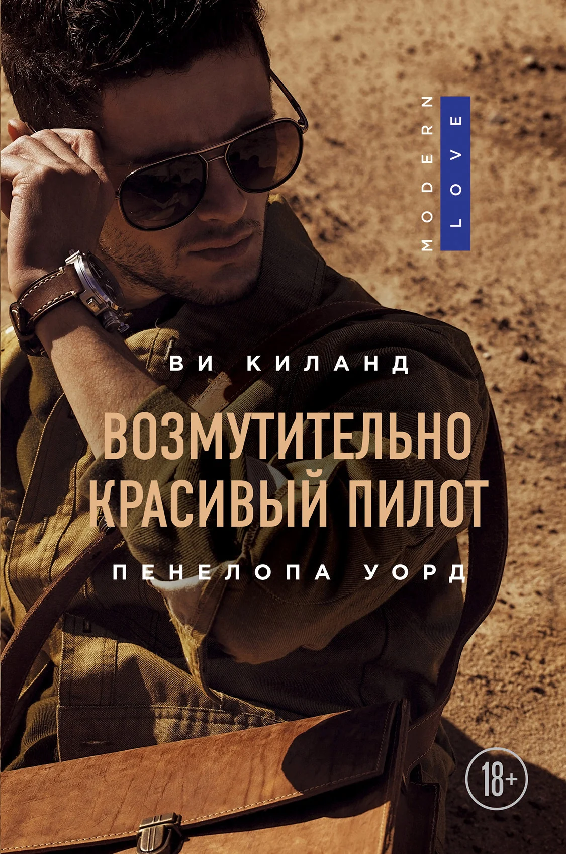 Обложка Возмутительно красивый пилот