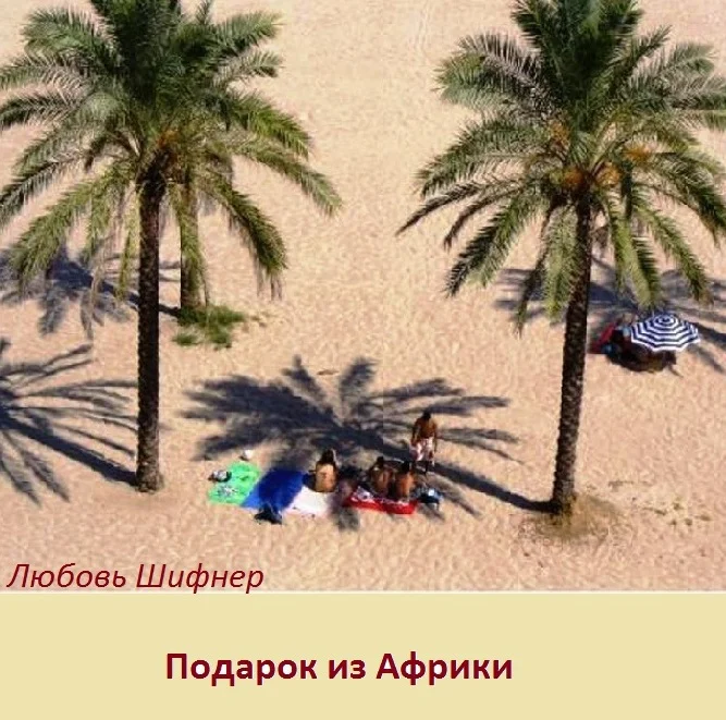 Обложка Подарок из Африки (СИ)