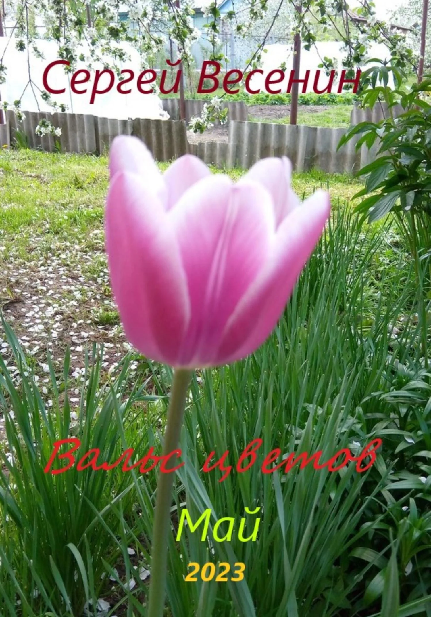 Обложка Вальс цветов