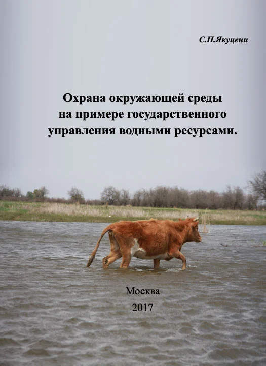 Обложка Охрана окружающей среды на примере государственного управления водными ресурсами