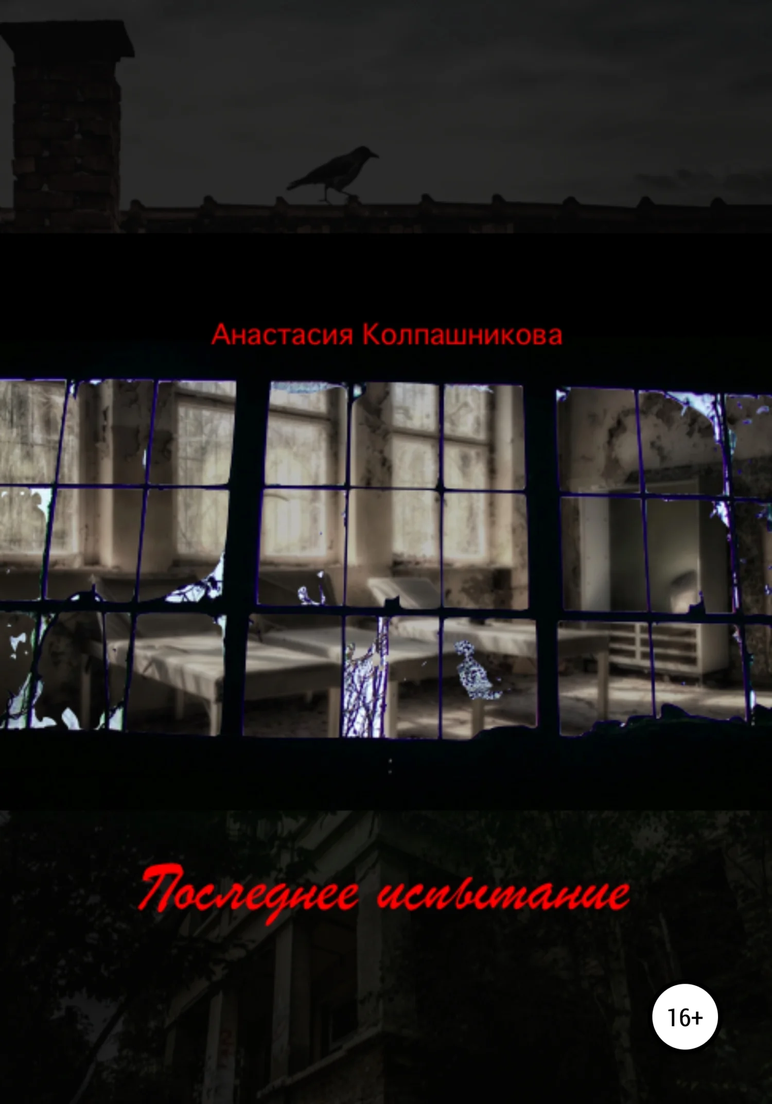 Обложка Последнее испытание