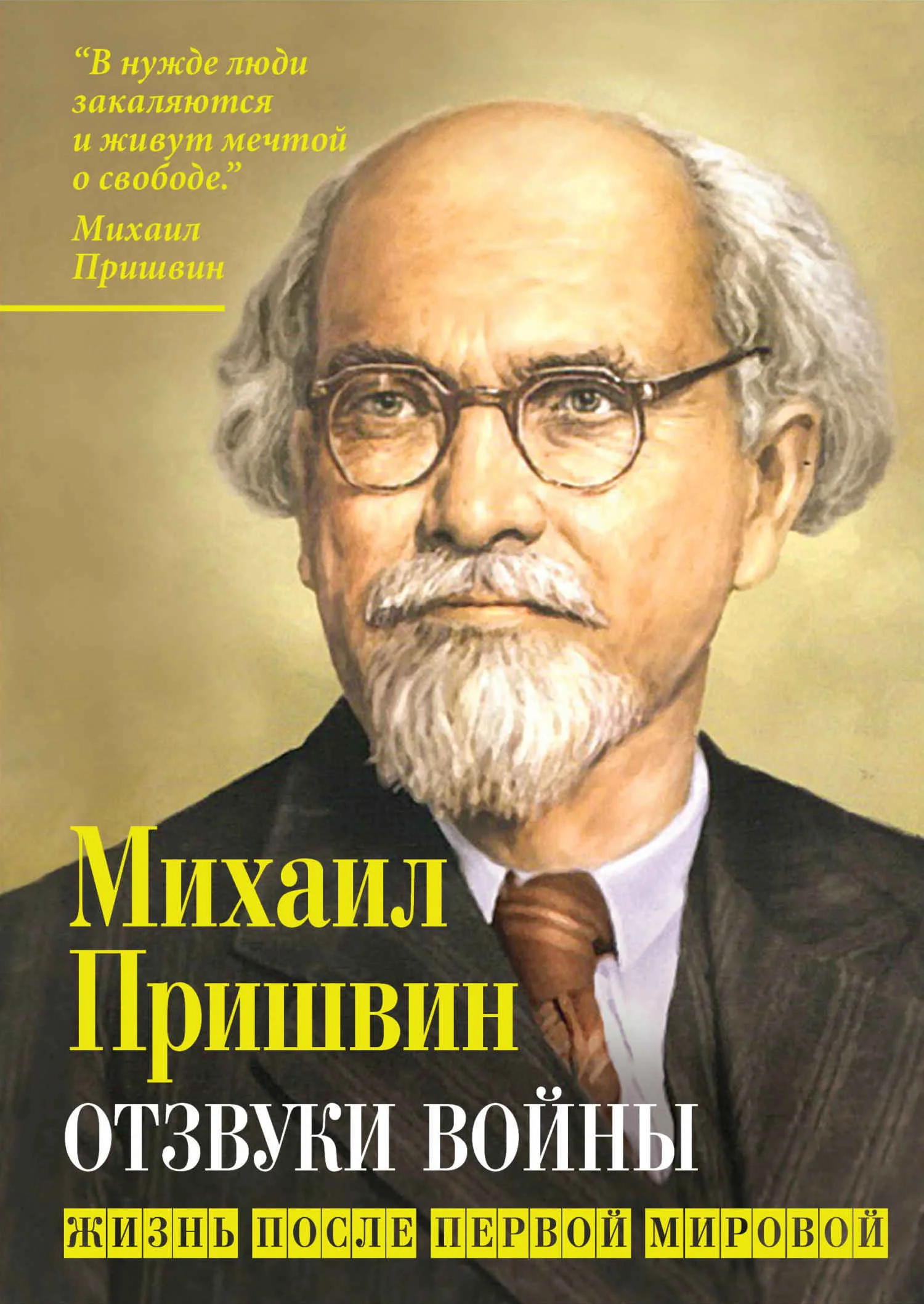 Обложка Отзвуки войны. Жизнь после Первой мировой