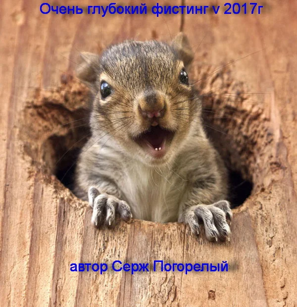 Обложка Необыкновенный секс - глубокий фистинг, рассказы РУНЕТА  (v.2) 2017г