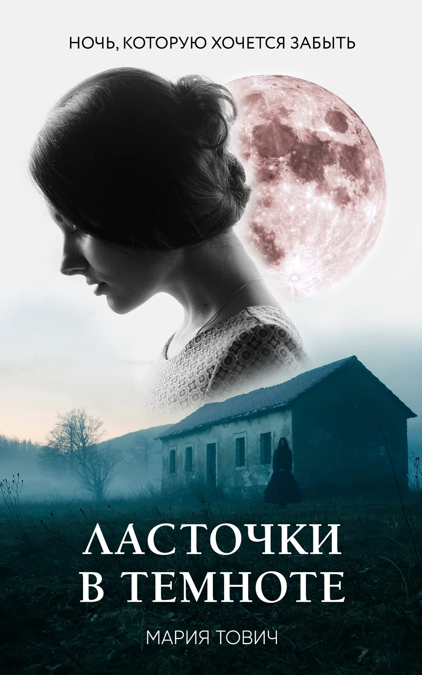 Обложка Ласточки в темноте