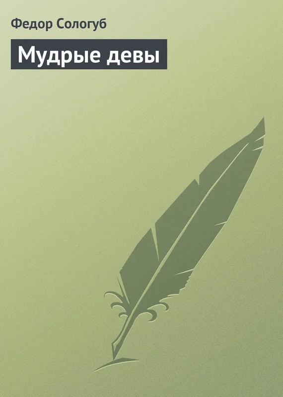 Обложка Мудрые девы