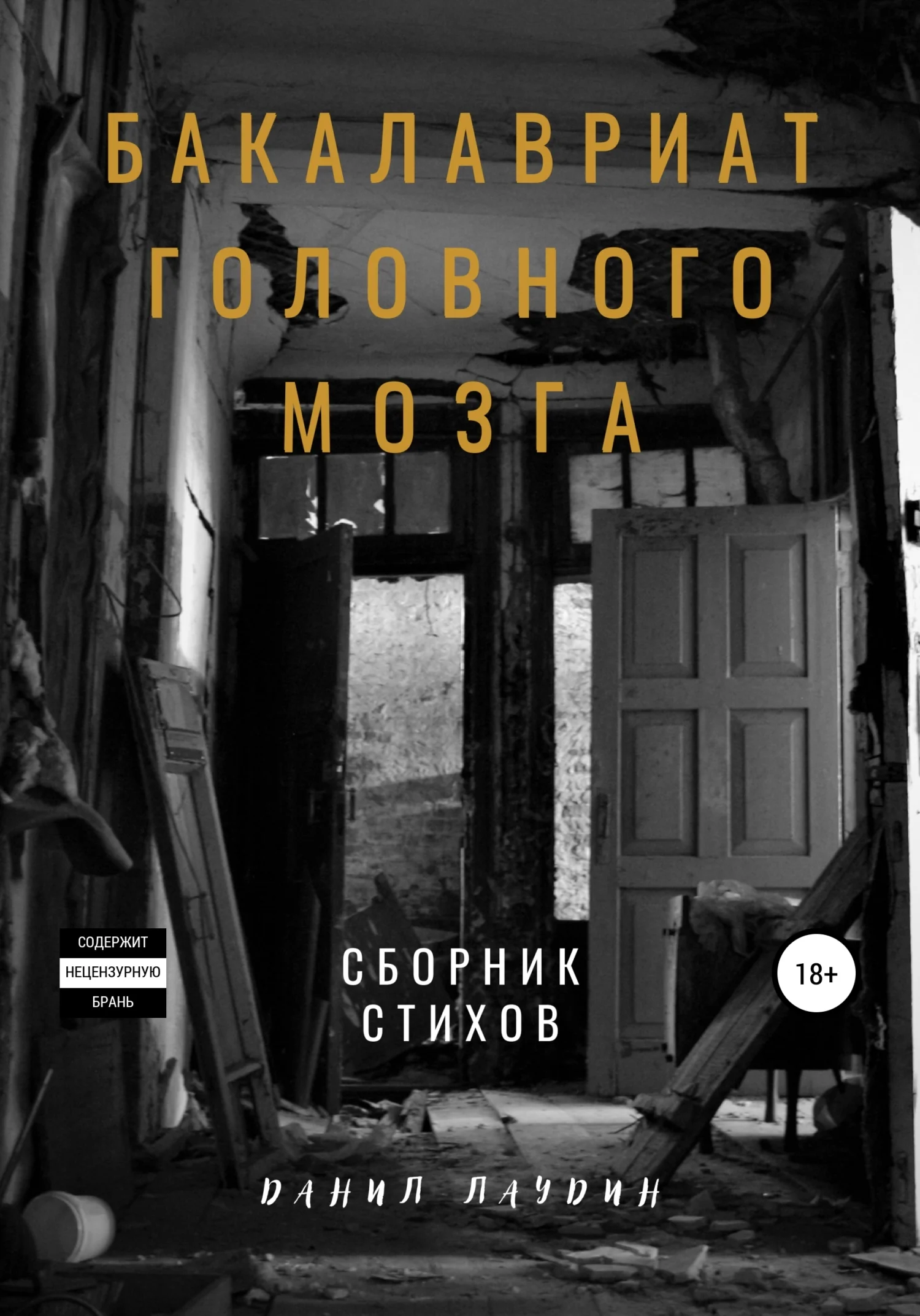 Обложка Бакалавриат головного мозга