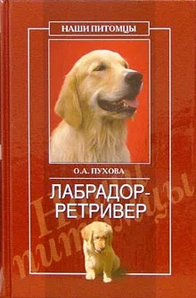 Обложка Лабрадор ретривер