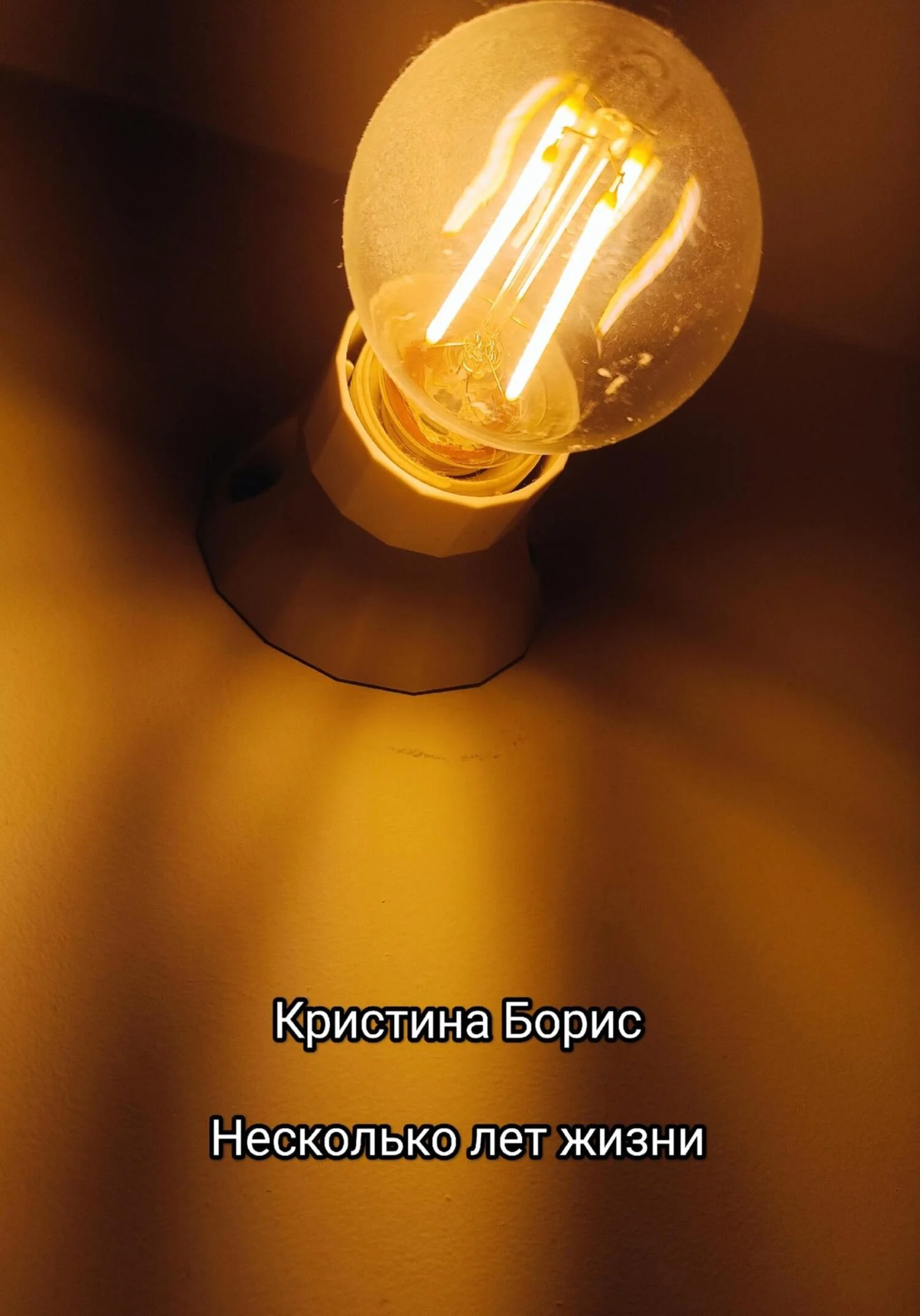 Обложка Несколько лет жизни