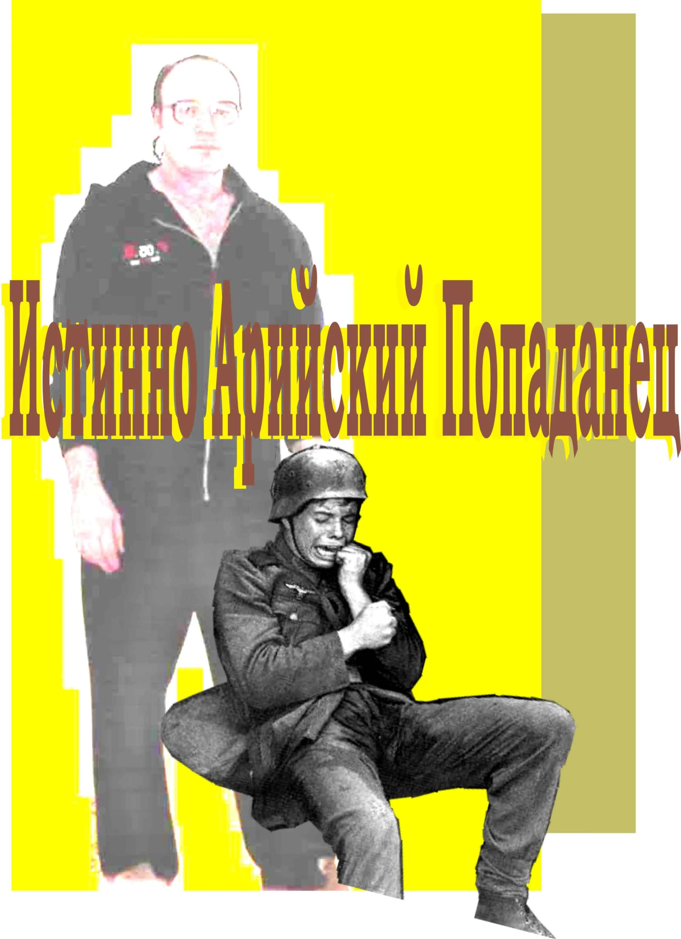 Обложка Истинно арийский попаданец
