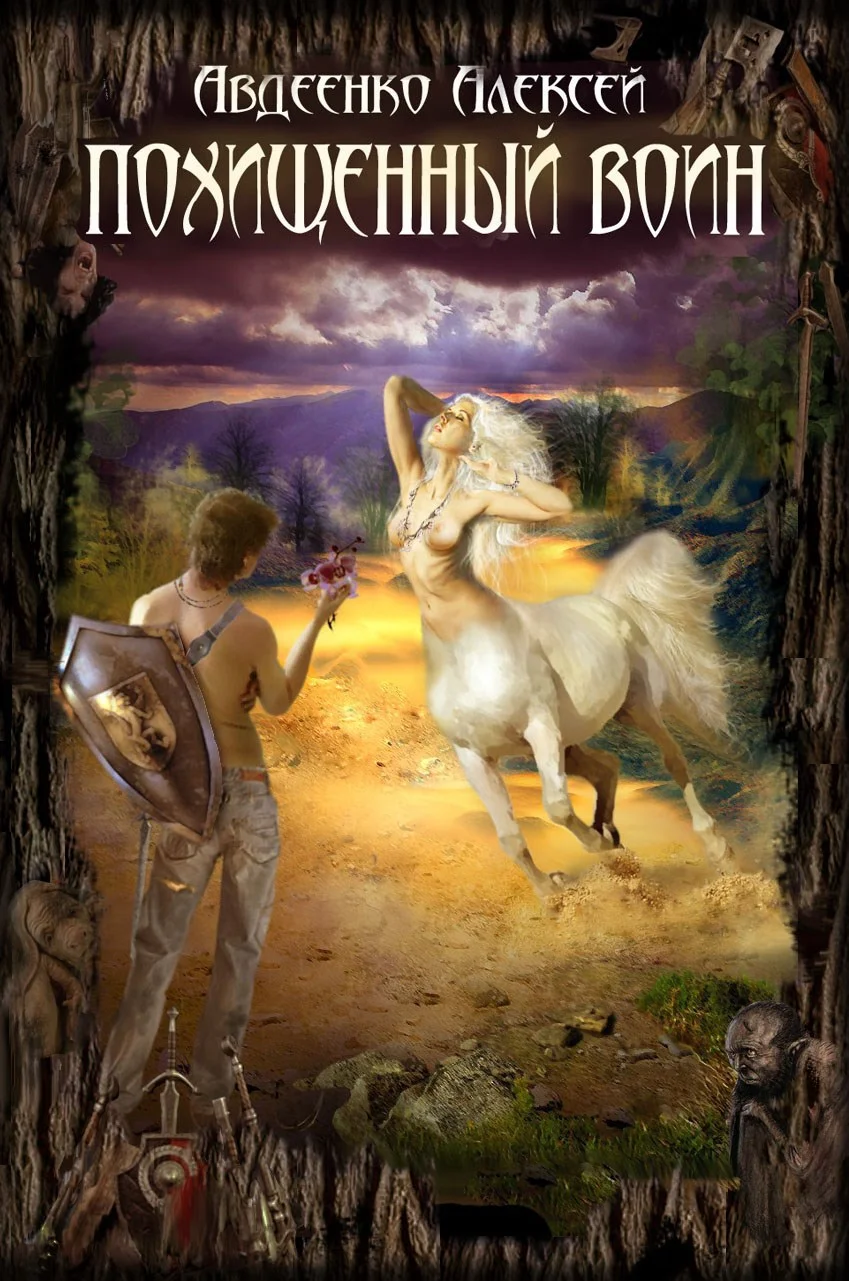 Обложка Похищенный воин.