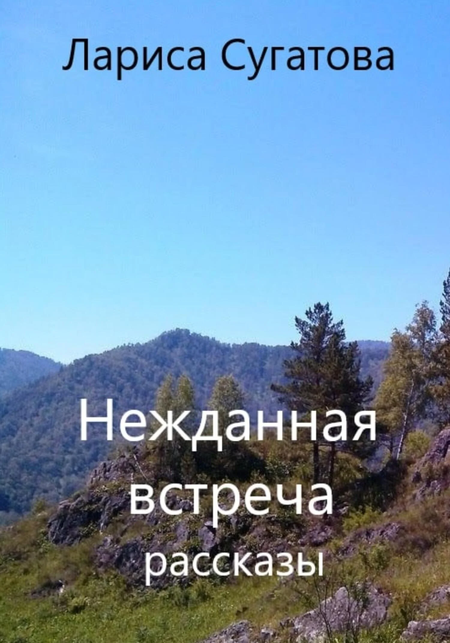 Обложка Нежданная встреча