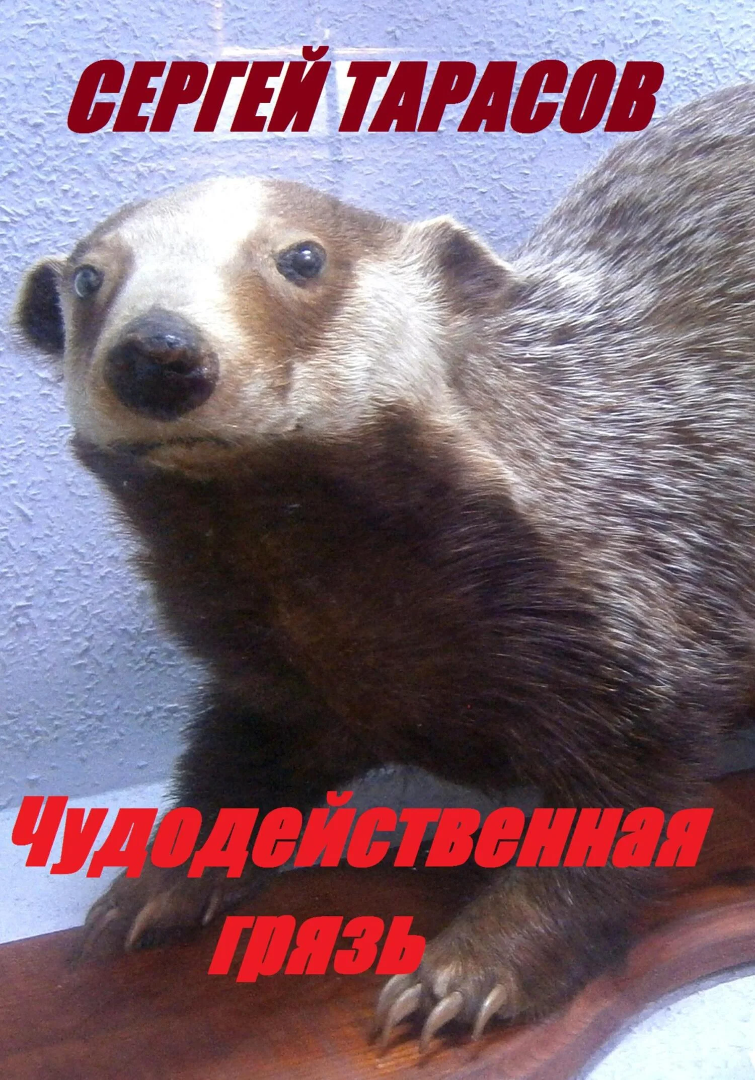 Обложка Чудодейственная грязь