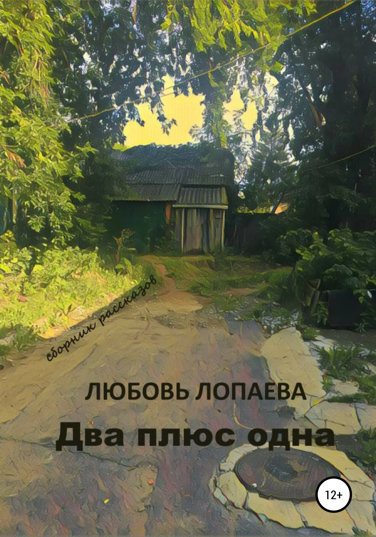 Обложка Два плюс одна: сборник рассказов