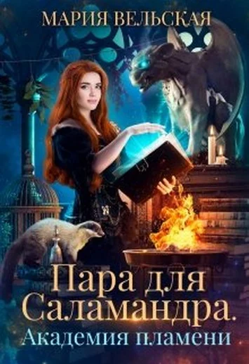 Обложка Пара для саламандра. Академия драконьего пламени
