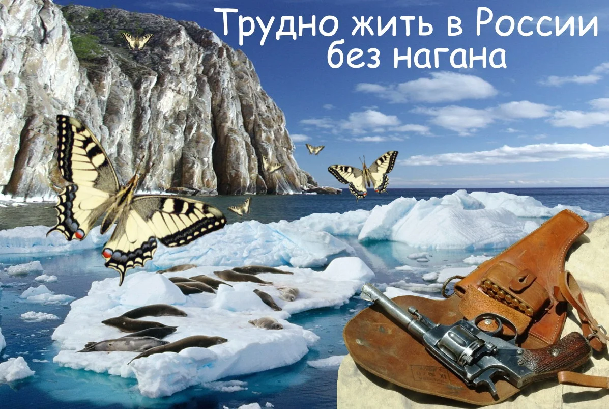 Обложка Трудно жить в России без нагана