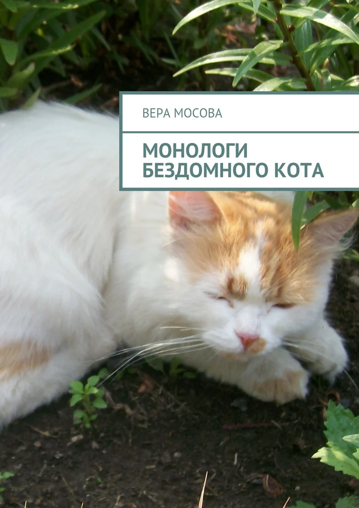 Обложка Монологи бездомного кота