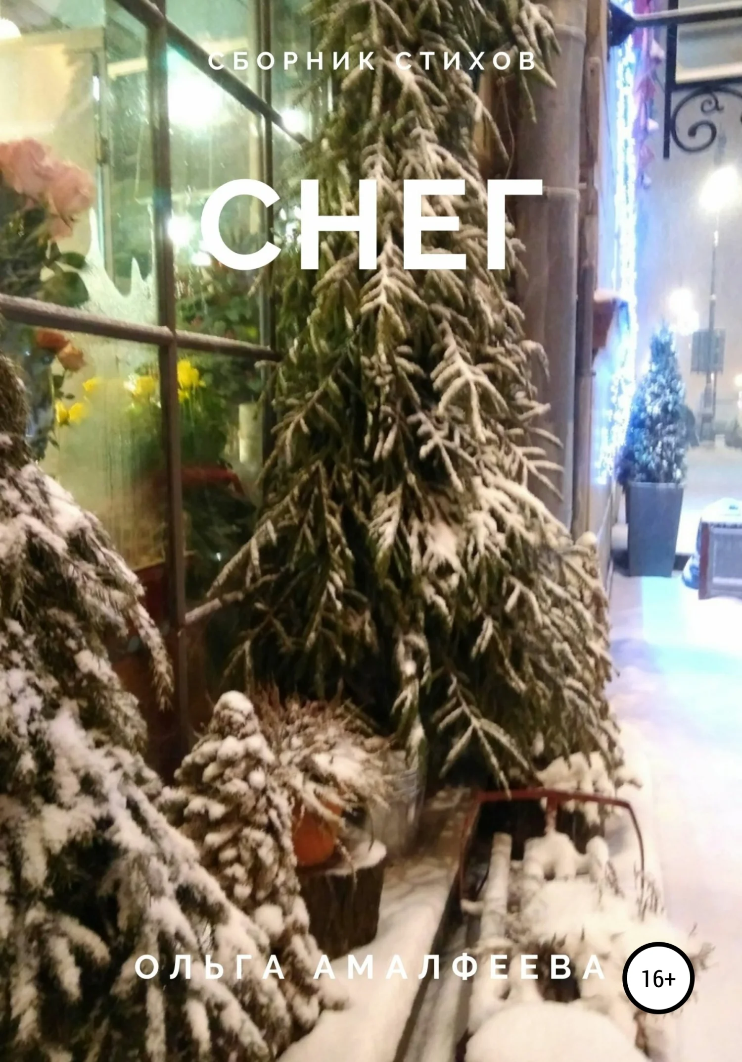 Обложка Снег. Сборник стихов