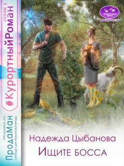 Обложка Ищите босса