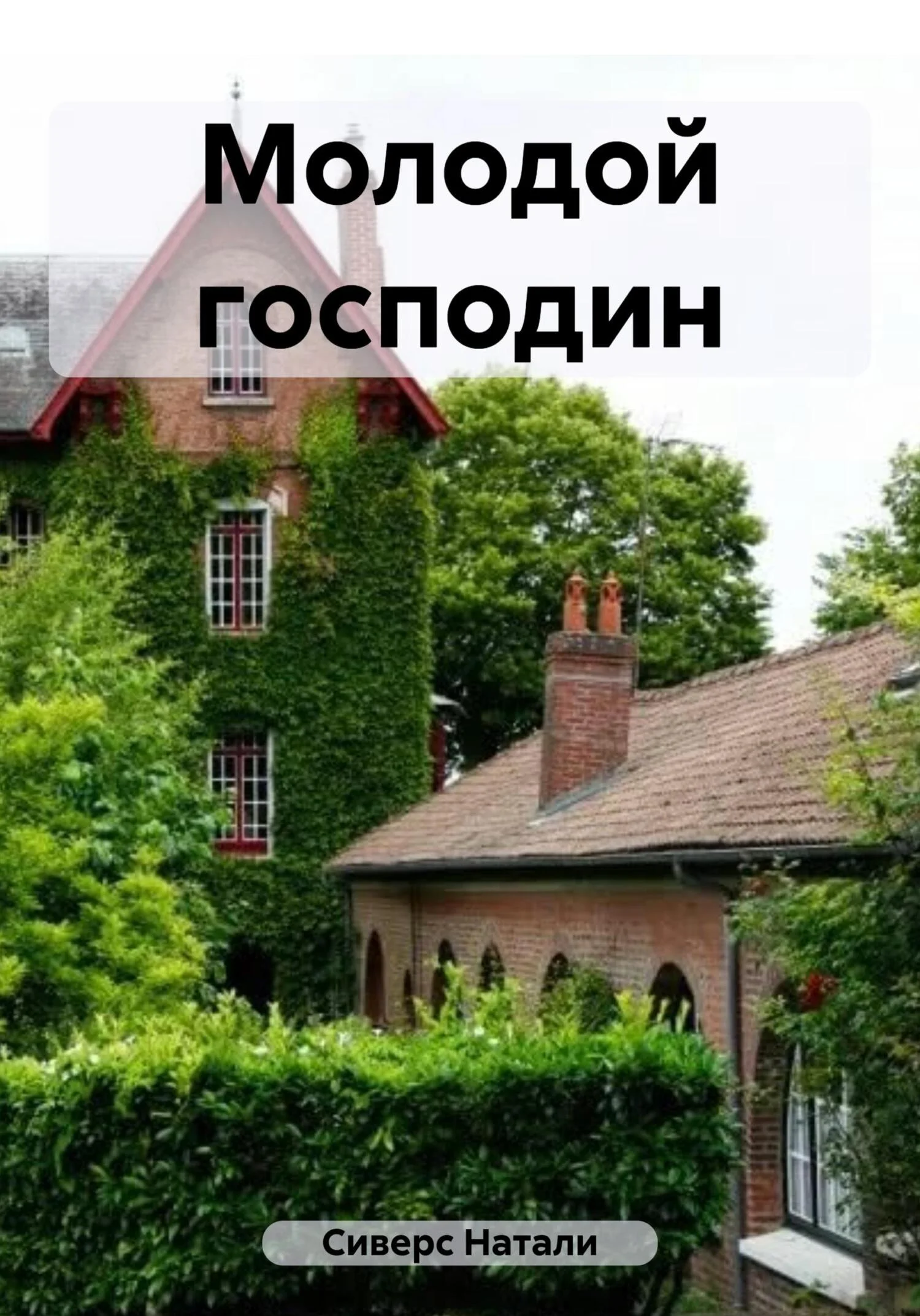 Обложка Молодой господин