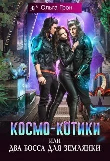 Обложка Космо-котики, или Два босса для землянки