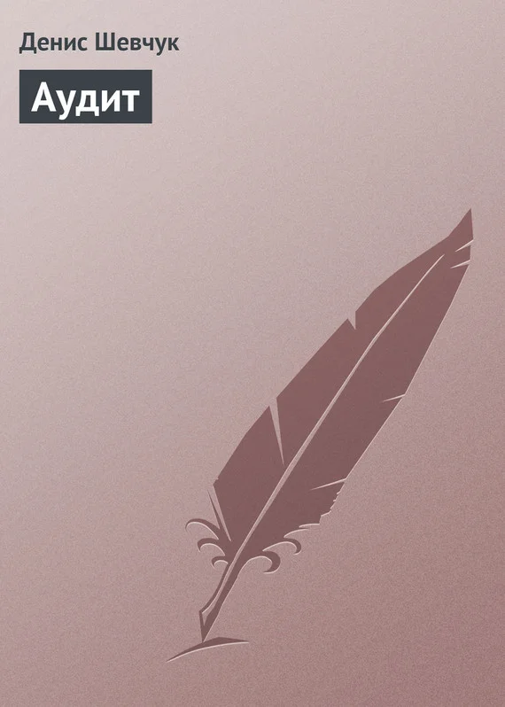 Обложка Аудит