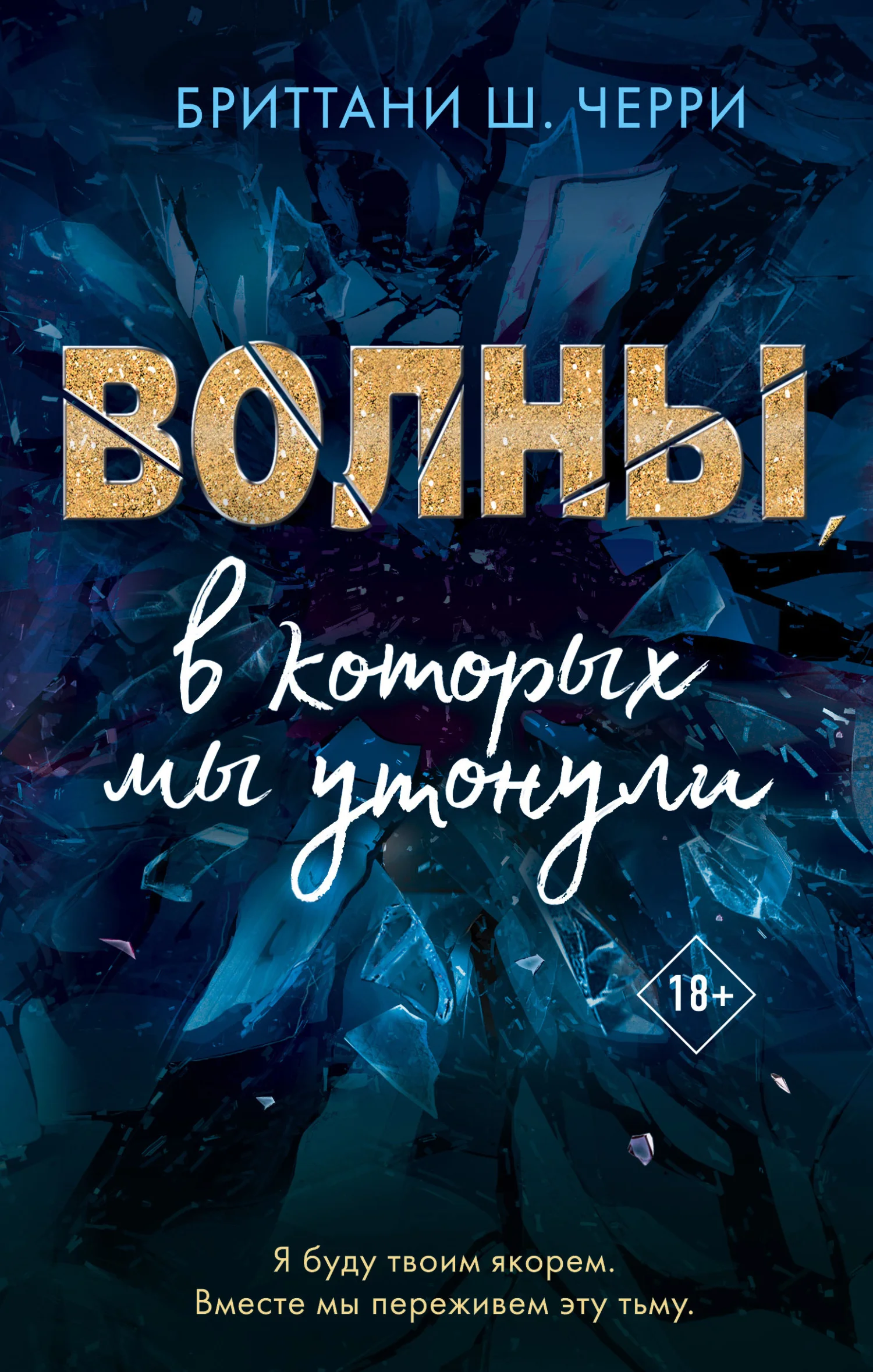 Обложка Волны, в которых мы утонули