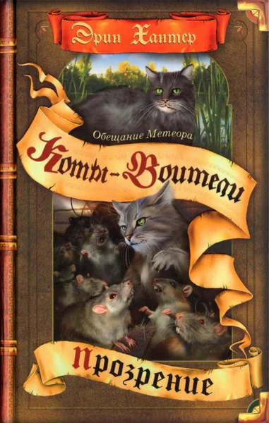 Обложка Обещание Метеора. Книга 2. Прозрение