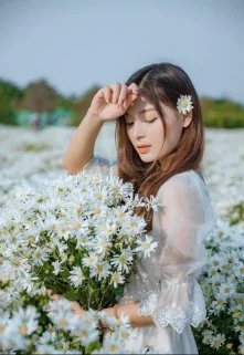 Обложка Травница