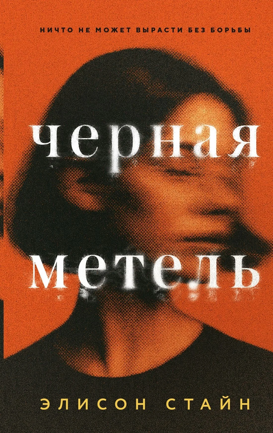 Обложка Черная метель