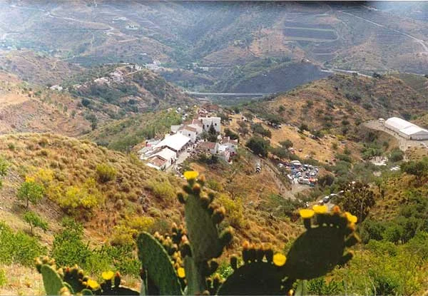 Обложка В чужой монастырь, или как я хотел убить Оле Нидала.