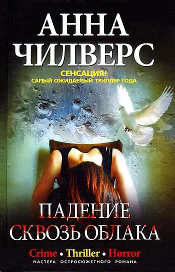 Обложка Падение сквозь облака