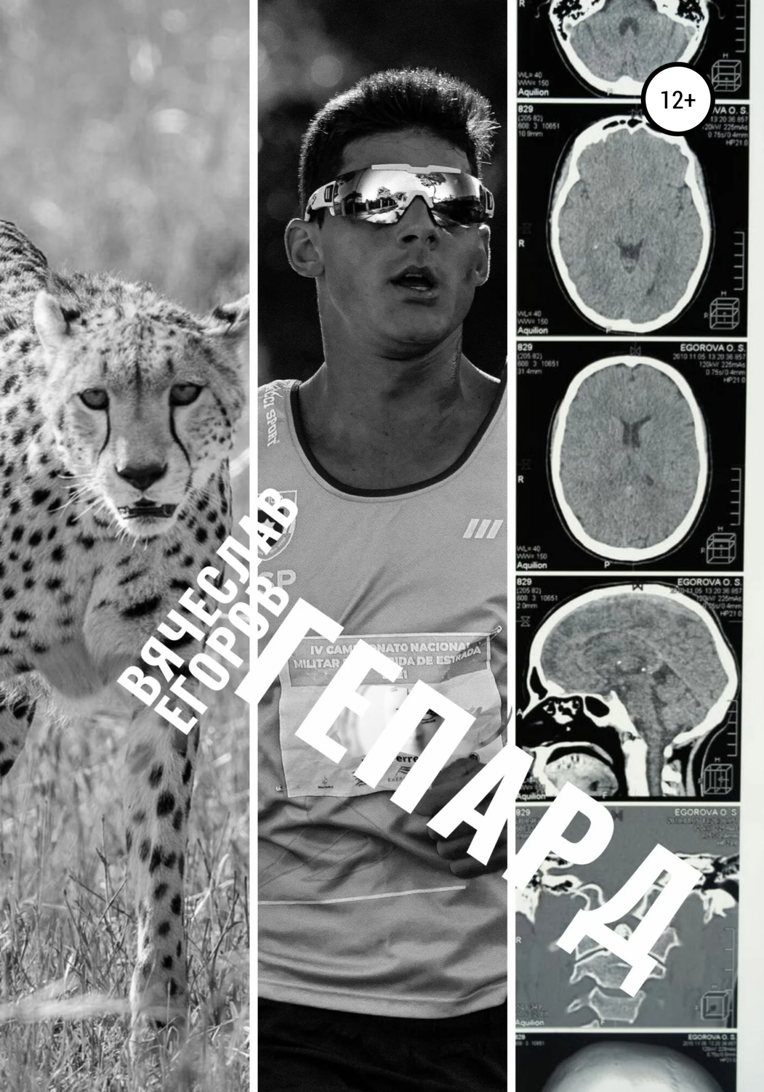 Обложка Гепард