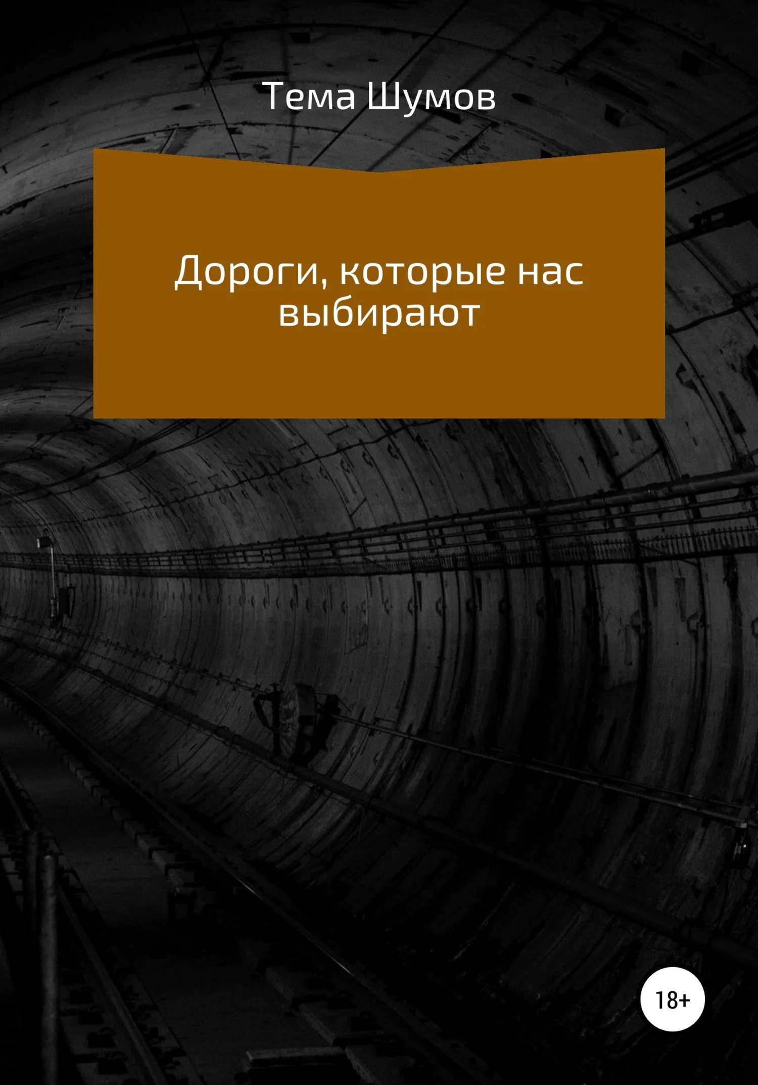 Обложка Дороги, которые нас выбирают