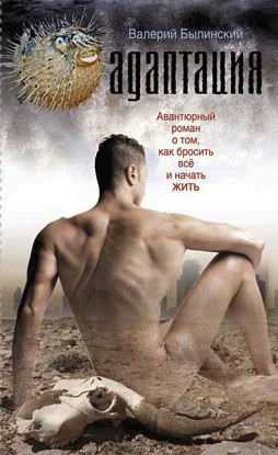 Обложка Адаптация