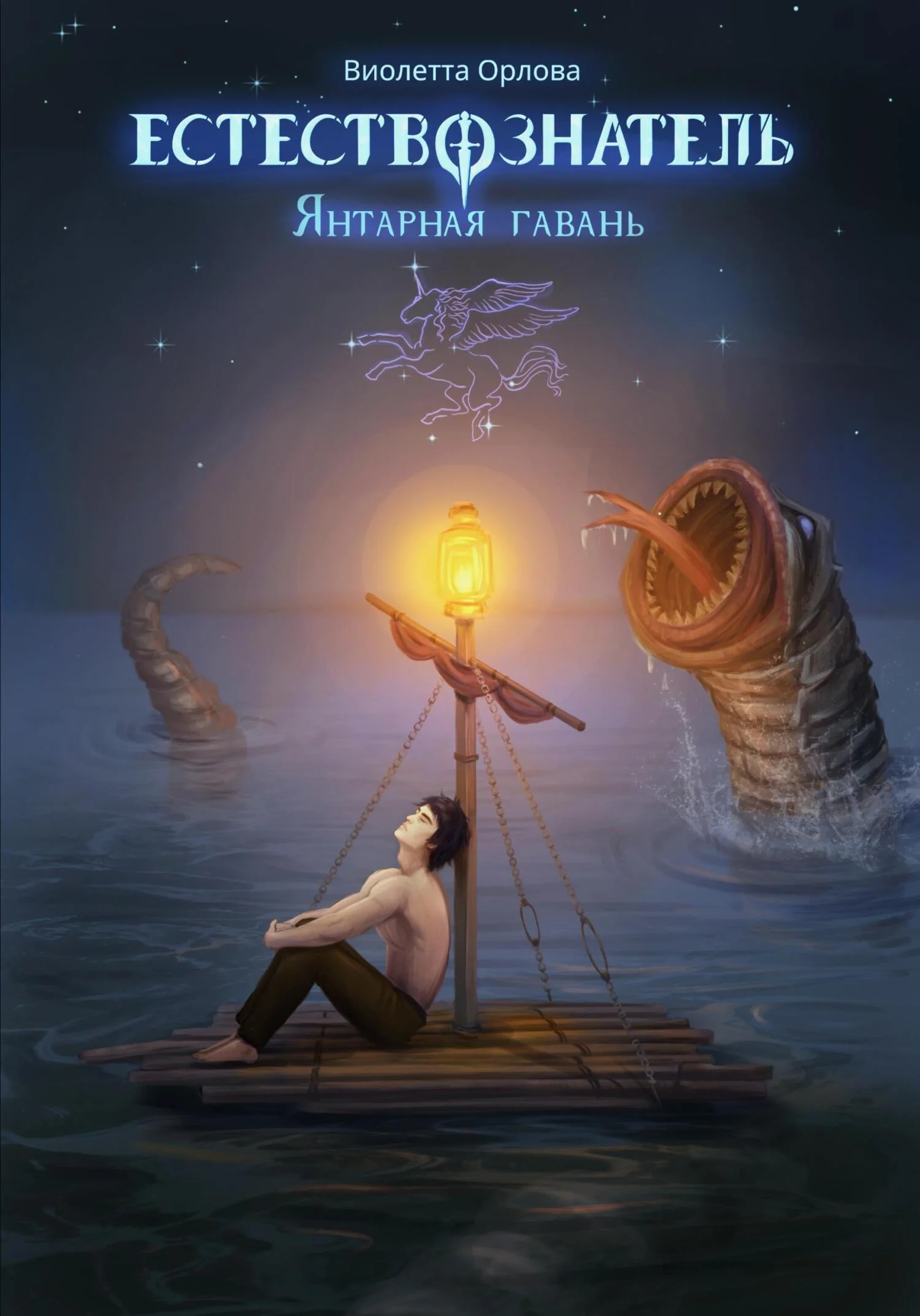 Обложка Янтарная гавань