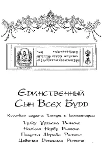 Обложка Единственный Сын Всех Будд
