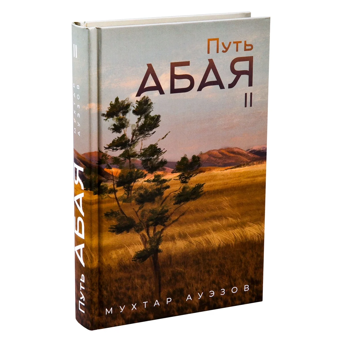 Обложка Путь Абая. Книга II