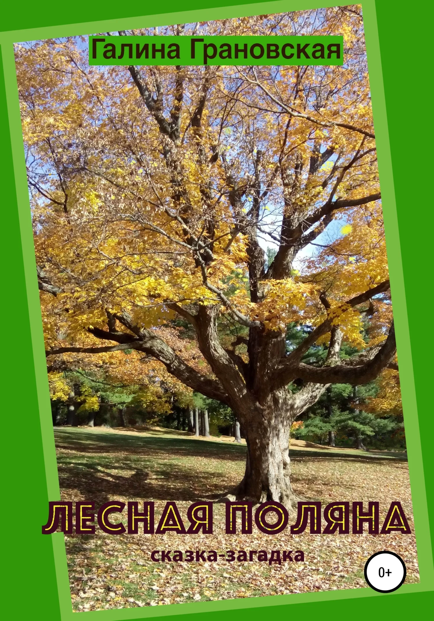 Обложка Лесная Поляна. Сказка-загадка