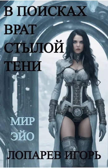Обложка В поисках врат Стылой Тени
